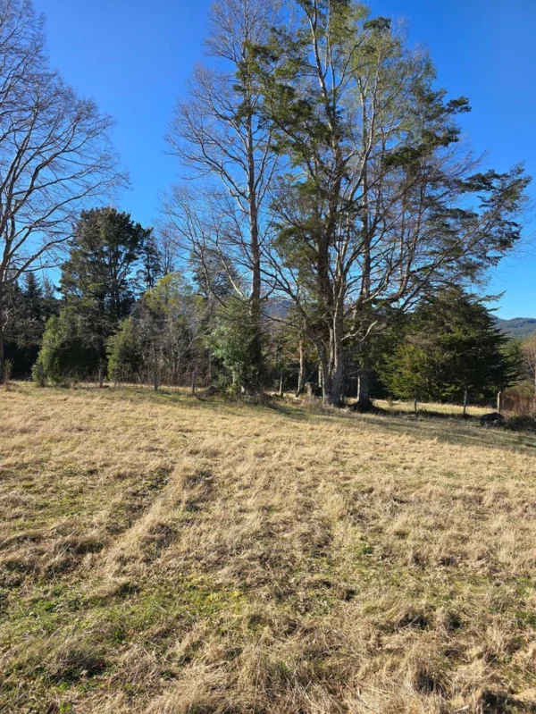 parcelas pino huacho lican ray