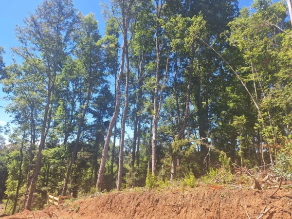 a solo 15 min de villarrica $38.000.000 crédito directo