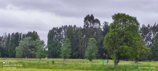 portal del ranco $24.990.000