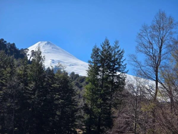 parcelas pino huacho lican ray