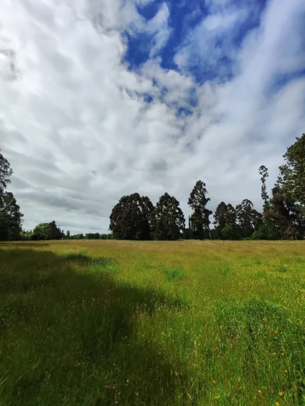 aires de paillaco $23.990.000