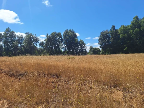 parque nativo sector huaqui $30.000.000 opción de crédito directo