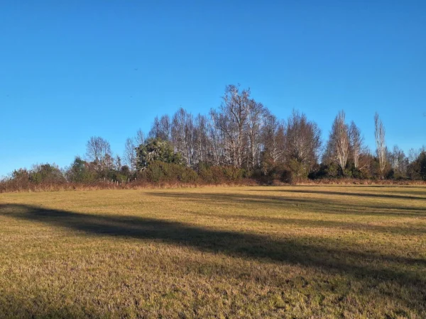 séptima faja hermosas parcelas a 20 min de villarrica desde $28.000.000