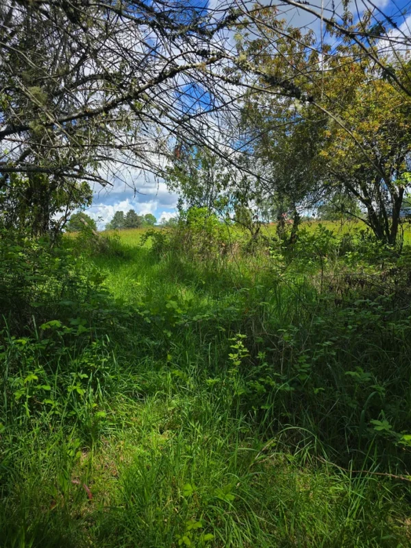 campo san nicolás Últimas parcelas disponibles