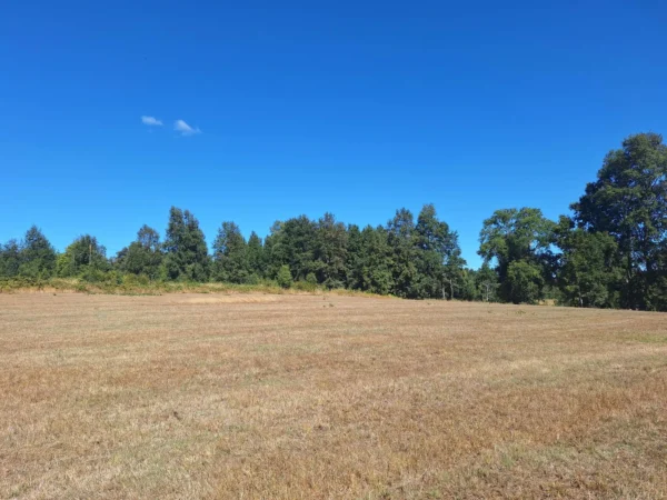 séptima faja hermosas parcelas a 20 min de villarrica desde $28.000.000