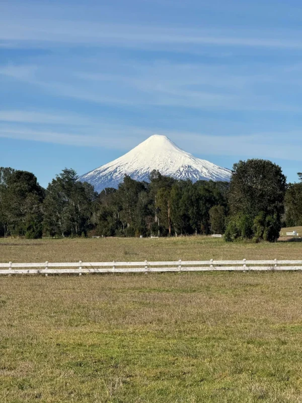 los molinos puerto octay