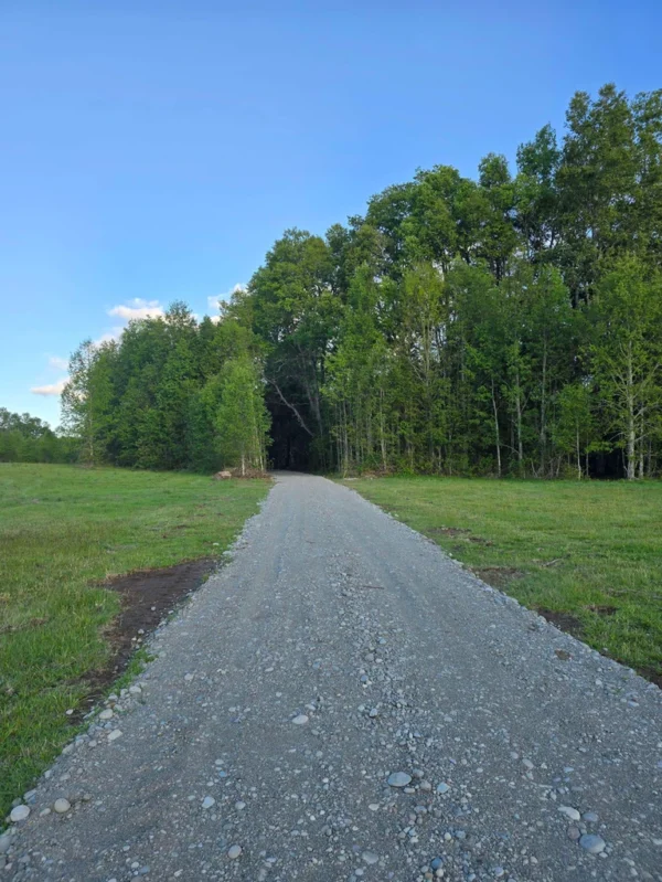 raíces de relún a 15 km de villarrica
