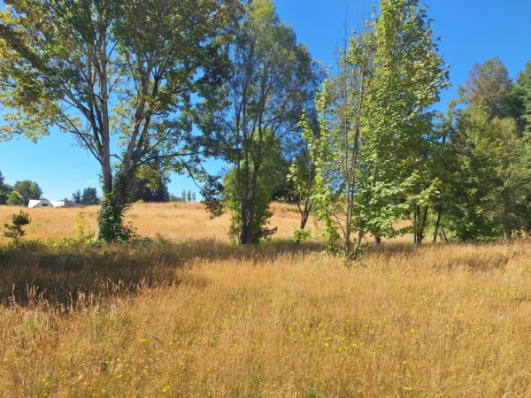 parque nativo sector huaqui $30.000.000 opción de crédito directo