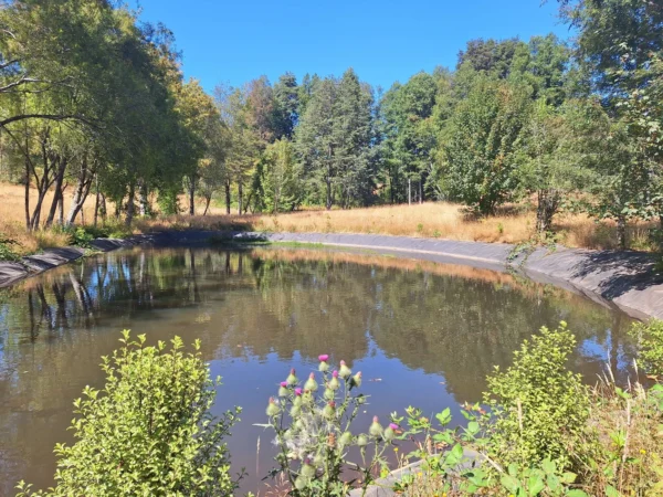 parque nativo sector huaqui $30.000.000 opción de crédito directo