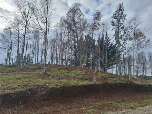 a solo 15 min de villarrica $38.000.000 crédito directo