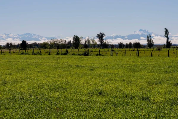 verde pradera 1 y 2 desde $15.990.000 crédito directo