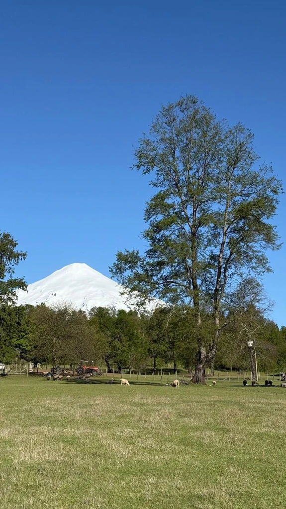 cumbres de puc贸n $29.990.000