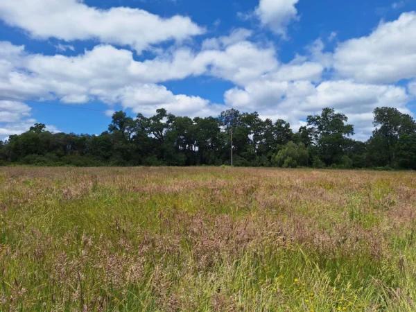 fundo santa clara $24.990.000 Últimas parcelas