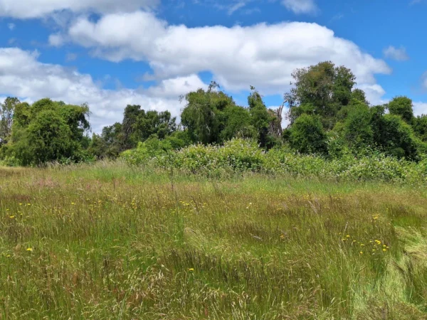 fundo santa clara $24.990.000 Últimas parcelas