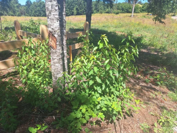 a solo 15 min de villarrica $38.000.000 crédito directo