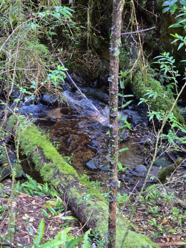 a 20 min de licanray parcelas de 1 hectárea con estero
