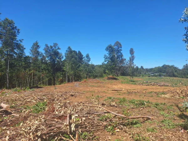 a solo 15 min de villarrica $38.000.000 crédito directo