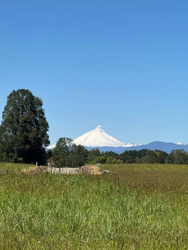 los molinos puerto octay