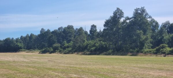 aires de puerto nuevo $22.990.000