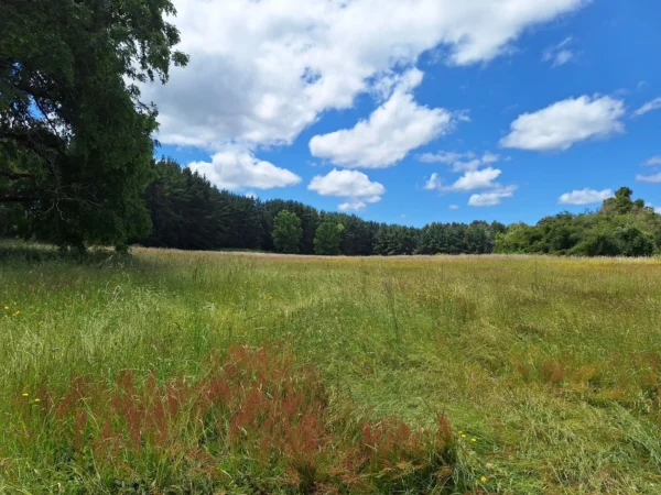 fundo santa clara $24.990.000 Últimas parcelas