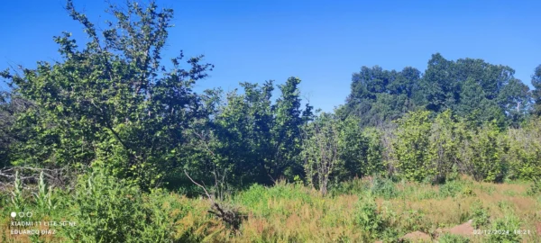 parcela en condominio los avellanos a 15 min de villarrica vendida