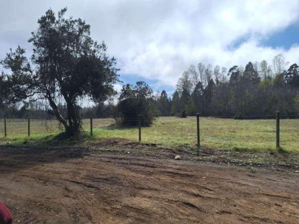 a 20 min de villarrica parcelas con luz, agua y cercadas