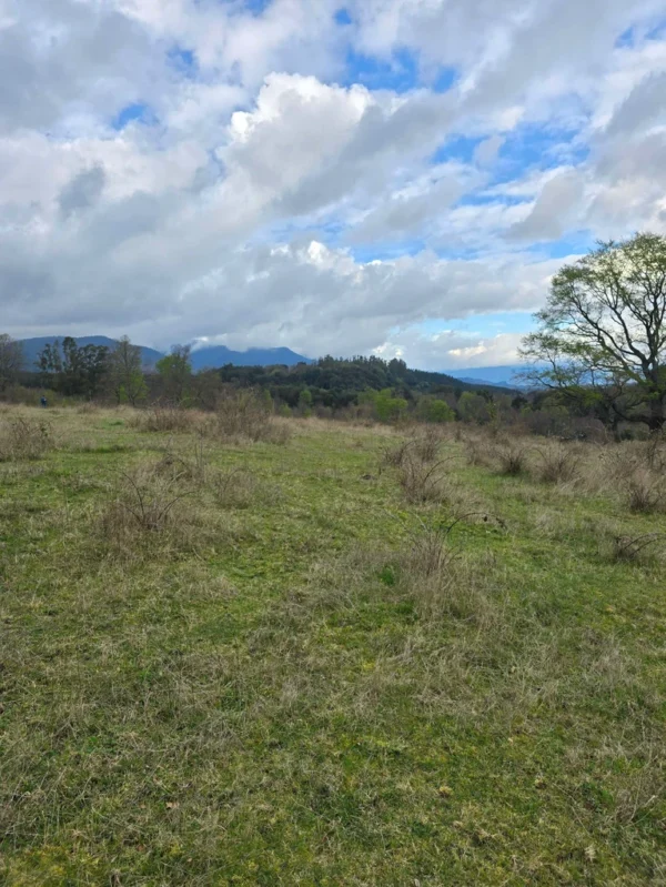 parcelas ruta cunco melipeuco