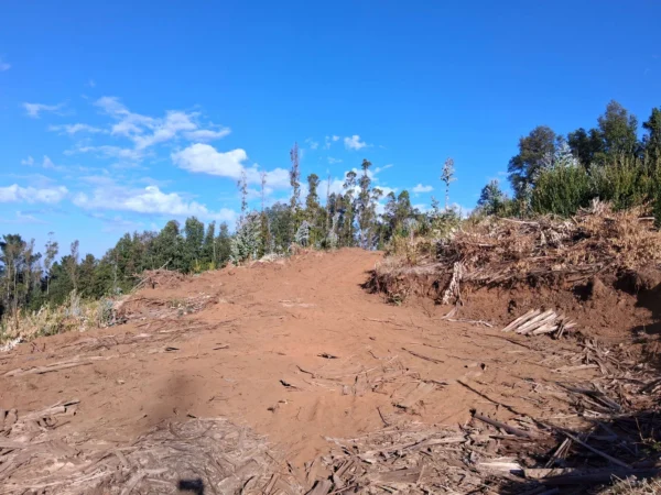 parcela de 1,9 hectáreas loncoche $39.990.000