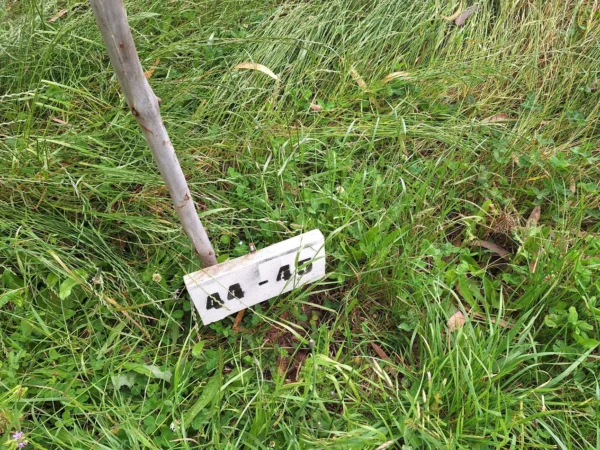 aires de paillaco $23.990.000