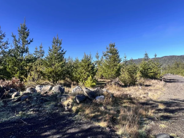 parcelas a minutos del lago calafquén $30.000.000