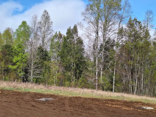 a 20 min de villarrica parcelas con luz, agua y cercadas