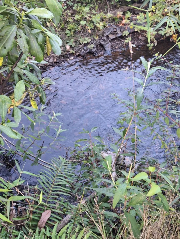 rinconada a solo 15 min de villarrica