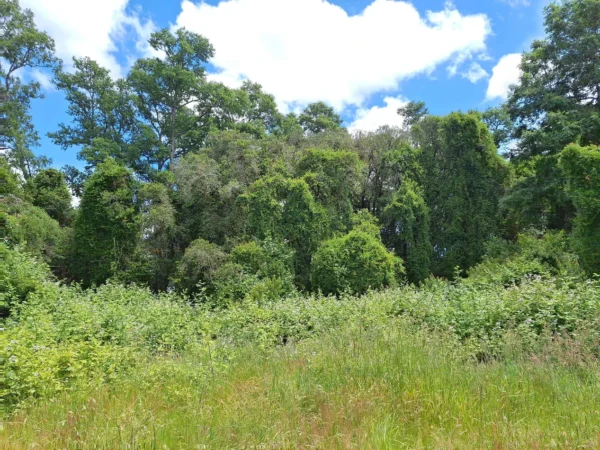 fundo santa clara $24.990.000 Últimas parcelas