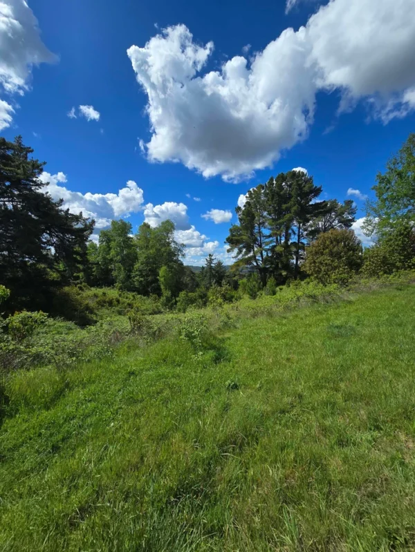 campo san nicolás Últimas parcelas disponibles