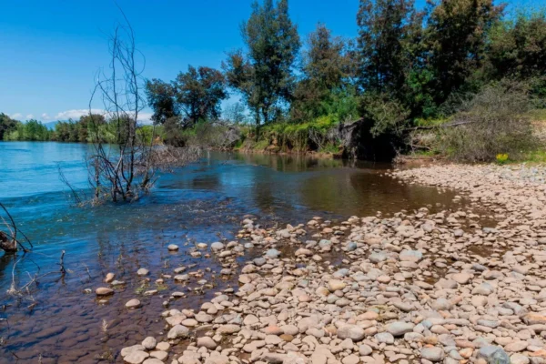 verde pradera 1 y 2 desde $15.990.000 crédito directo