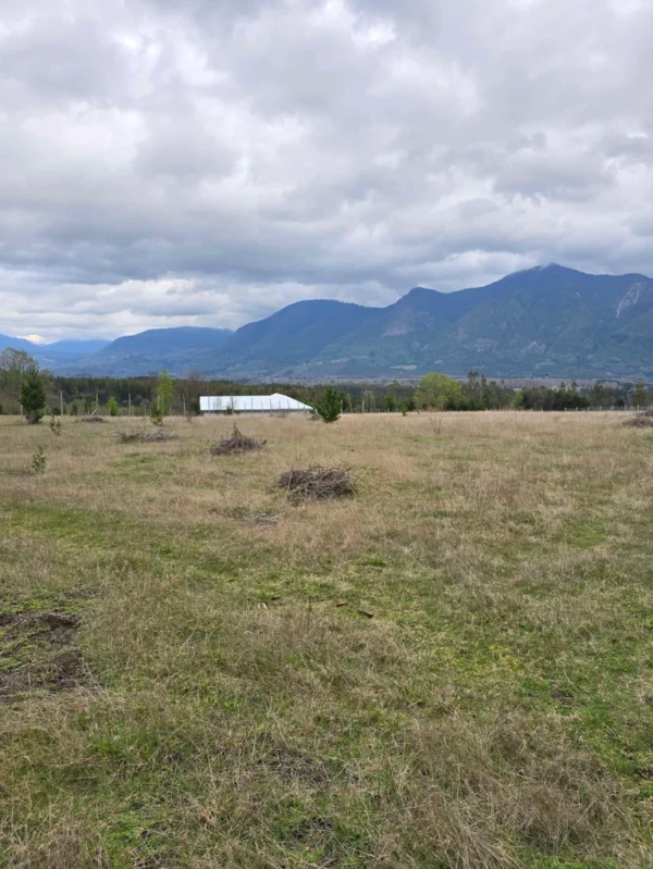 parcelas ruta cunco melipeuco