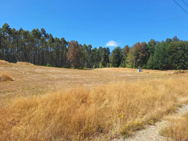 parque nativo sector huaqui $30.000.000 opción de crédito directo