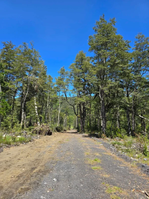 parcelas a minutos del lago calafquén $30.000.000