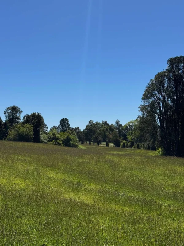 los molinos puerto octay