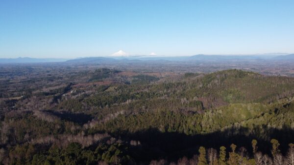 parcela de 1,9 hectáreas loncoche $39.990.000