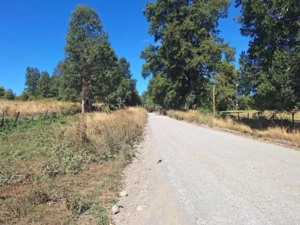 séptima faja hermosas parcelas a 20 min de villarrica desde $28.000.000