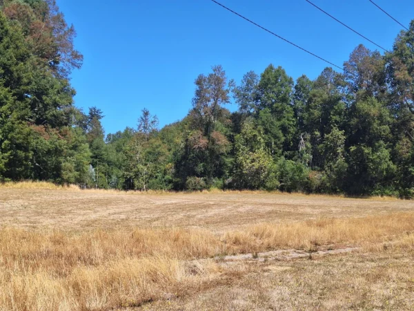 parque nativo sector huaqui $30.000.000 opción de crédito directo