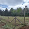 a 20 min de villarrica parcelas con luz, agua y cercadas