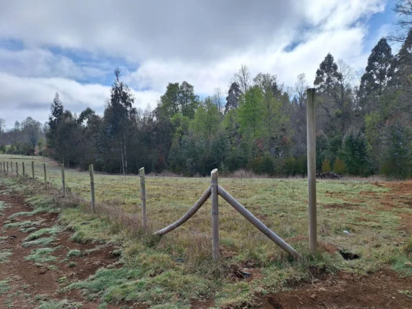 a 20 min de villarrica parcelas con luz, agua y cercadas