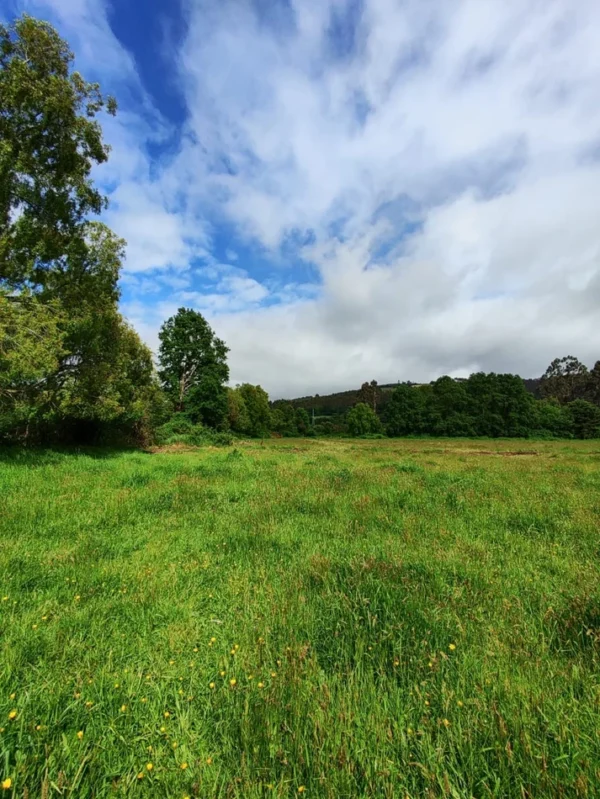 aires de paillaco $23.990.000