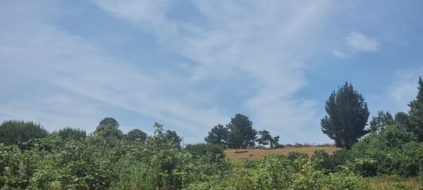 aires de puerto nuevo $22.990.000