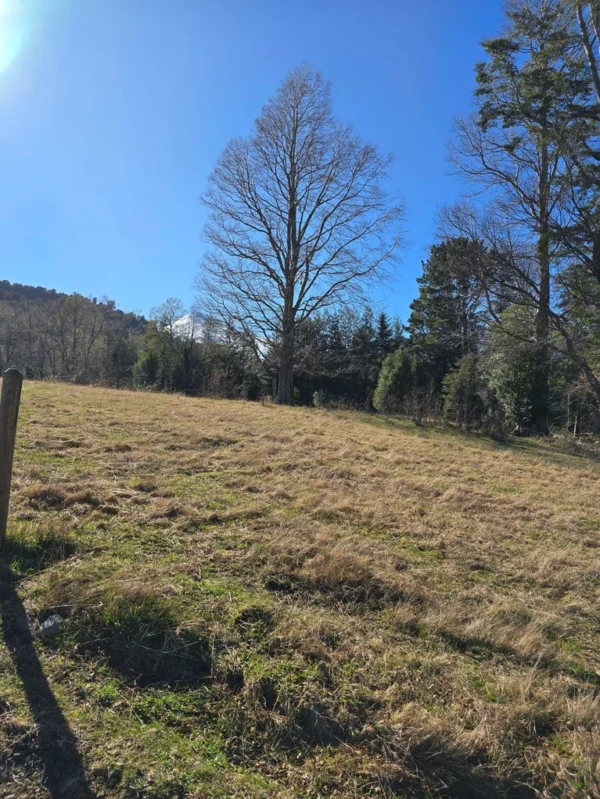 parcelas pino huacho lican ray