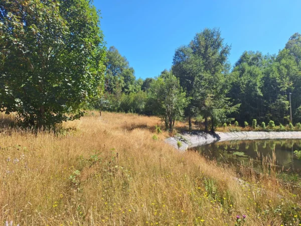 parque nativo sector huaqui $30.000.000 opción de crédito directo