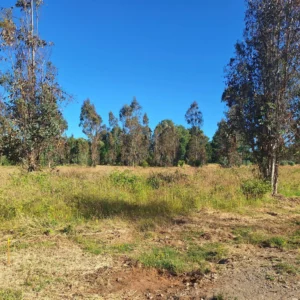 fundo ancahual villarrica loncoche