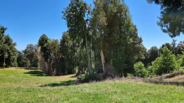 lomas las cascadas, ensenada región de los lagos